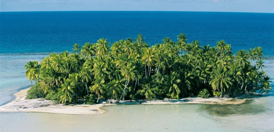 Ilot Tahiti Cocotiers Océan Paysage 